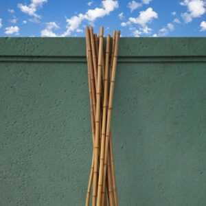 Polished Bamboo Poles 1 1/2" - 2" diameter x 8' long