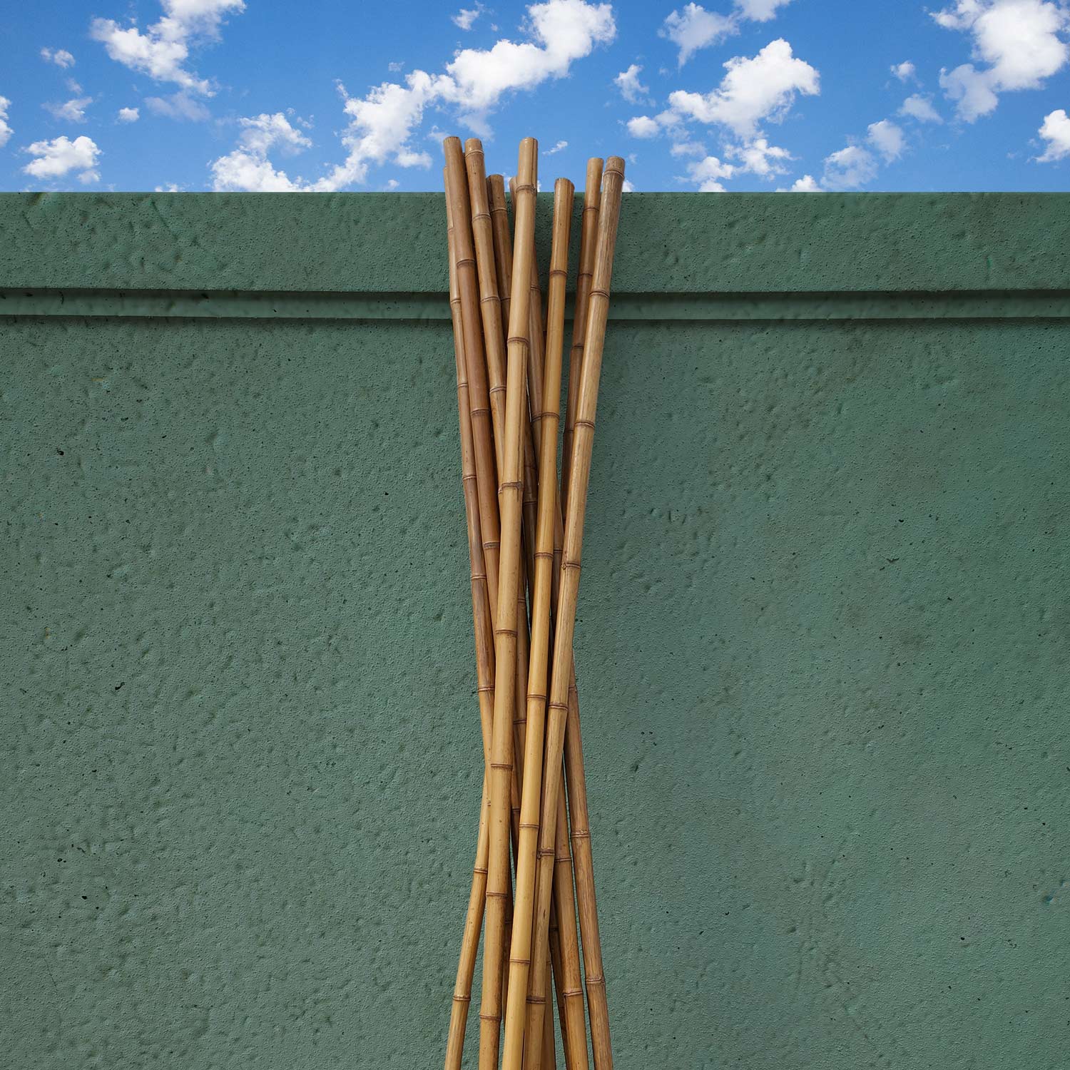 Polished Bamboo Poles 1 1/2" - 2" diameter x 8' long